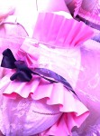 virginal innocent bra and frilly apron.